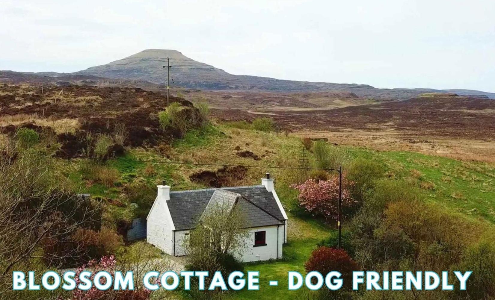 Araucaria Croft Skye Villa Dunvegan  Luaran gambar