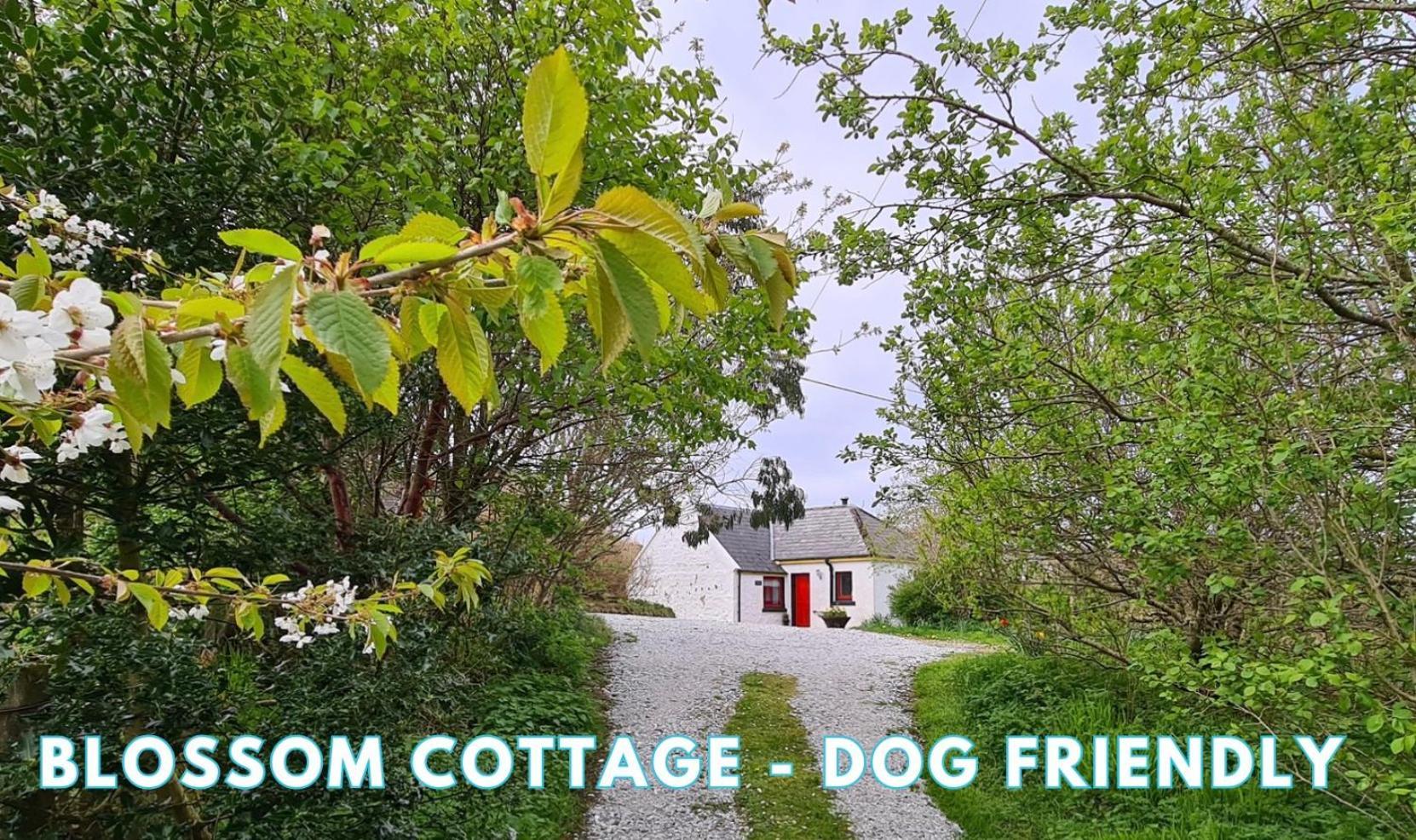 Araucaria Croft Skye Villa Dunvegan  Luaran gambar
